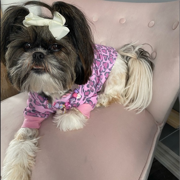 Meet your Posher, Carolyn - Picture 6 of 8